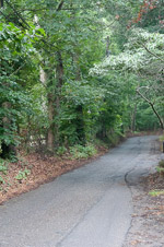 Marlboro NJ Walking Trail Pathway